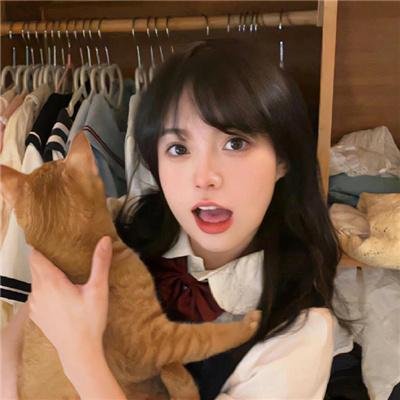 风流世家